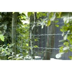 Betafence Pantanet Tuingaas Family 183 Cmx25 M Groen -Tuinonderhoud buiten 123 1739