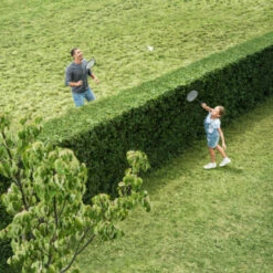 Bosch 18V Heggenschaar AHS 50-20 Li 50cm -Tuinonderhoud buiten 123 2670