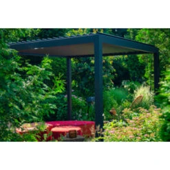 Pergola Deluxe Zwart 3x3m -Tuinonderhoud buiten 123 337