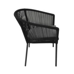 Diningstoel Reims Zwart -Tuinonderhoud buiten 123 4024