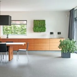 Muurhanger Verticaal Tuinieren -Tuinonderhoud buiten 123 686