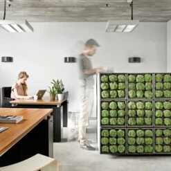 Muurhanger Verticaal Tuinieren -Tuinonderhoud buiten 123 687